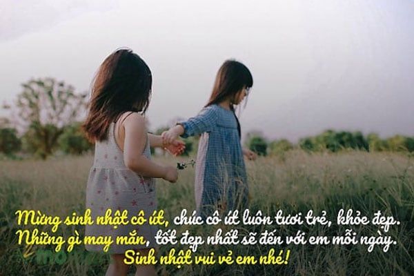 Lời chúc mừng sinh nhật chị gái