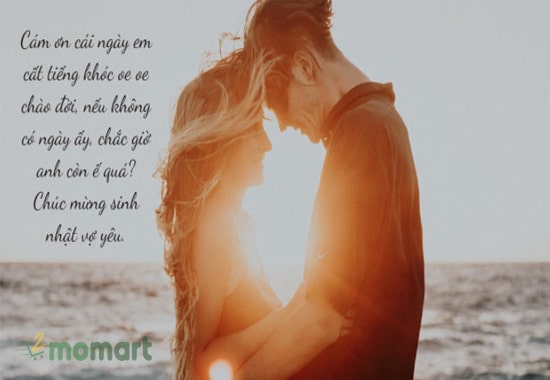 Lời chúc mừng sinh nhật vợ ngắn gọn ý nghĩa