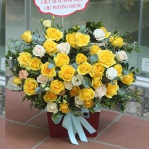 khai trương hồng phát