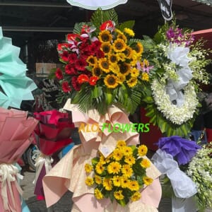 KHAI TRƯƠNG THUẬN LỢI